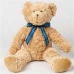 Teddy bracken bear