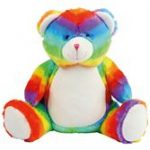 rainbow teddy